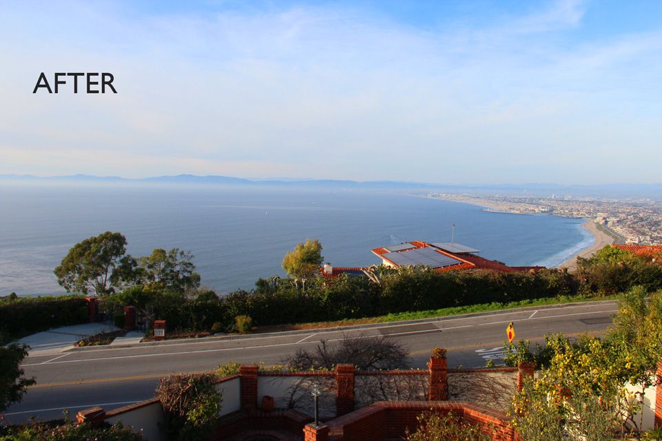 Hillside coastal view restored, large tree removed