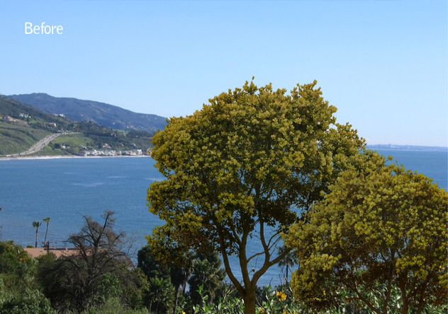 Bay view blocked by trees