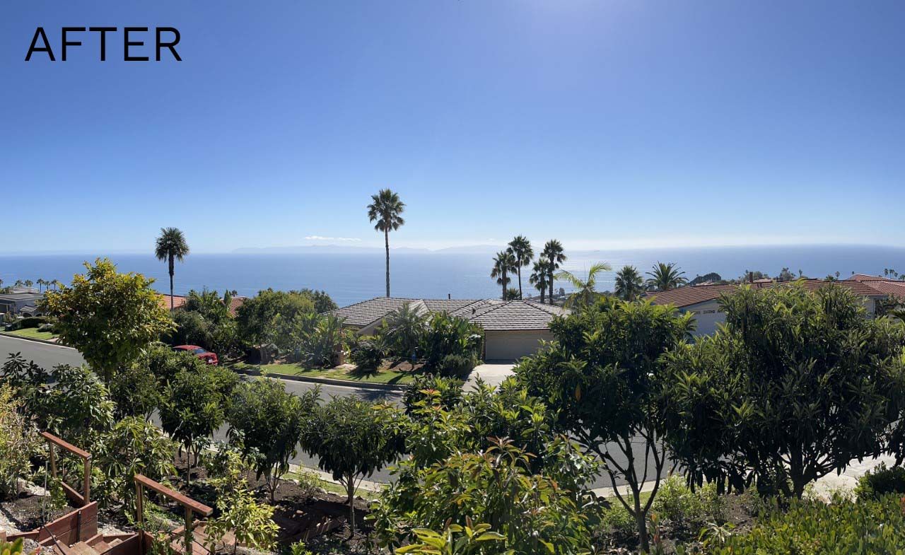 Coastal view with tree line cleared
