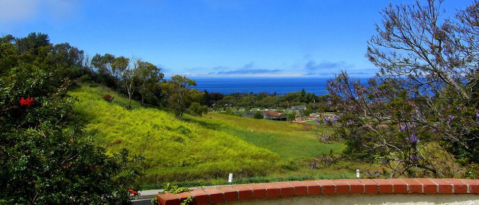 Beautiful hillside coastal view