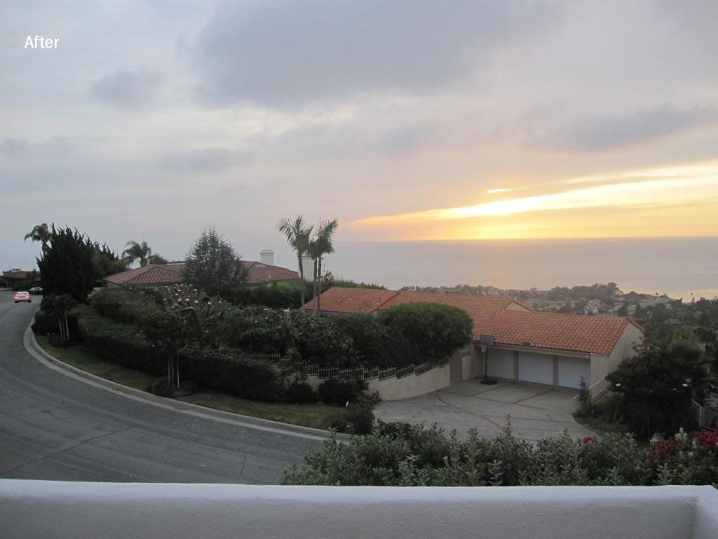 Sunset coastal views restored, shrubs trimmed