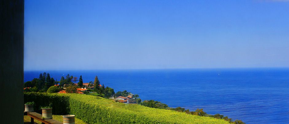 Gorgeous hillside coastal view