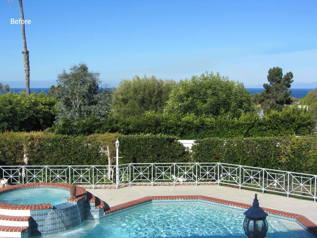 Backyard coastal view blocked by trees, shrubs
